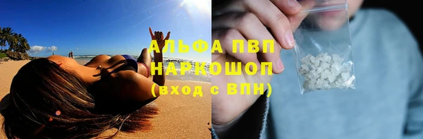 ешки Пересвет