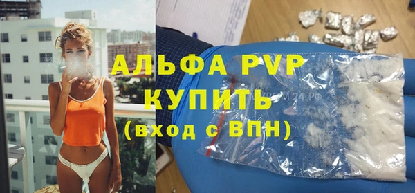 ешки Пересвет