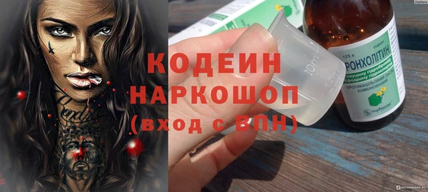 ешки Пересвет