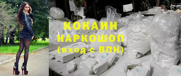 ешки Пересвет