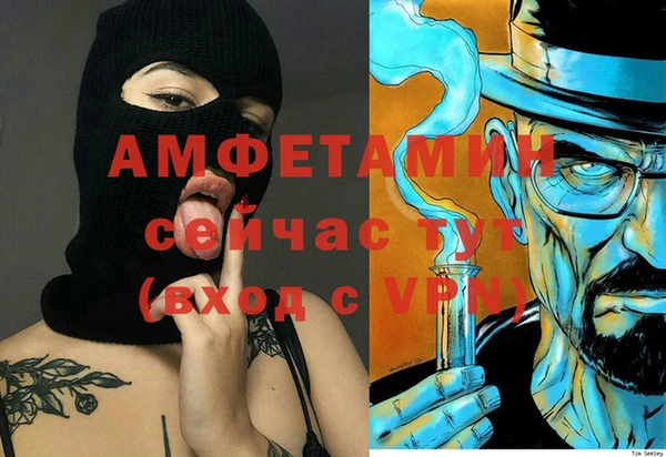 ешки Пересвет