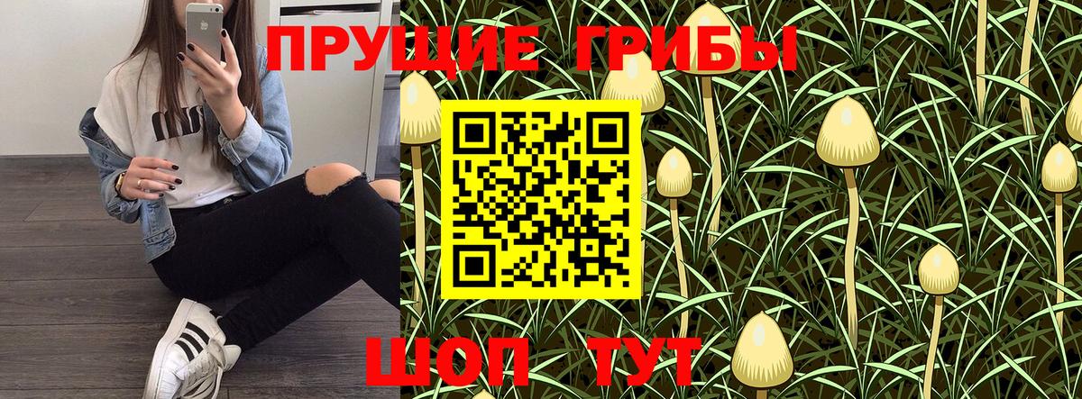 Саки  Псилоцибиновые грибы мицелий  Вход с VPN 